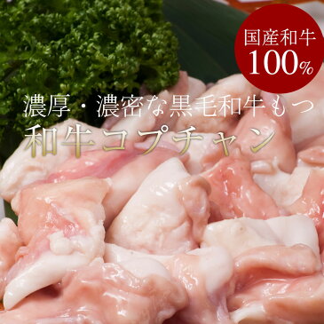 お試しカレーもつ鍋セット500g お子様にも人気の【カレー味】2〜3人前セット スタミナホルモン 全国送料無料 鍋パ ホルモン ギフト お取り寄せ 贈り物 誕生日 お祝 内祝 高級 退職祝い 2019 お歳暮 冬ギフト 博多 キャッシュレス 還元