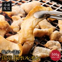 ホルモン焼き 焼肉 とんちゃん 国産豚 塩ダレ漬け 500g（250g×2袋） 冷凍配送 焼肉 ごはんのおとも ギフト にどうぞ！