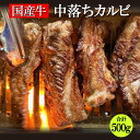 国産牛中落ちカルビ 合計500g 250g×2パック 中落ちカルビ 国産牛 カルビ 牛カルビ 中落ち お中元 お歳暮 ギフト 焼肉 焼き肉 やきにく やき肉 B...