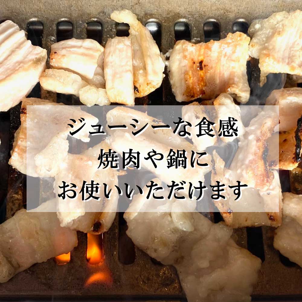 国産牛 ホルモン 一口カット 合計1kg 250g×4パック 牛ホルモン シマチョウ 国産 お中元 お歳暮 ギフト 焼肉 焼き肉 やきにく やき肉 鍋 BBQ バーベキュー キャンプ お取り寄せ おつまみ 家飲み 飲み会 冷凍 焼肉セット バーベキューセット yakinikuganbare-10000011 焼肉顔晴れ 楽天市場店 サンプル画像2