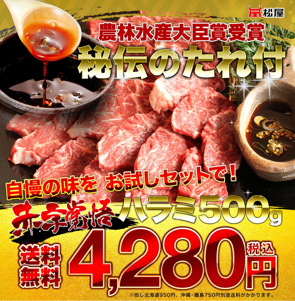 焼肉 ハラミ500g 送料無料 日本一売れてる　焼肉　秘伝のタレ付き　ハラミ500gセット★ BBQ 焼き肉 ヤキニク やきにく バーベキューセット