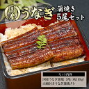 【二の丑 29日までのご注文で31日にお届け】お中元 御中元 国産 ギフト 土用の丑 うなぎ蒲焼 約110g5尾セット うなぎ 蒲焼 土用の日丑 国産鰻 お取り...
