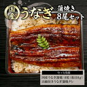 【9月4日20:00~9月11日11:59まで20%OFF】敬老の日 国産 ギフト うなぎ蒲焼 送料無料 約110g うなぎ蒲焼8尾! 大ボリューム セット 鰻 お土産 冷凍うなぎ 贈り物 お取り寄せ 鰻蒲焼 国内産 国内製造 熊本県産 愛知県産 お祝い 快気祝い 土用の丑