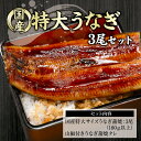 【限定100セット! 二の丑 29日までのご注文で31日にお届け】お中元 国産 ギフト 土用の丑 特大うなぎ蒲焼 約180g3尾 セット うなぎ 蒲焼 土用の丑...