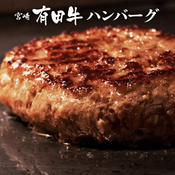 宮崎 有田牛ハンバーグ 150g 10個 北海道・沖縄は別途送料594円が掛かります マツコの知らない世界で紹介されました 牛肉 100% ハンバーグ セット 冷凍 食品 惣菜 お取り寄せグルメ テレビで話…