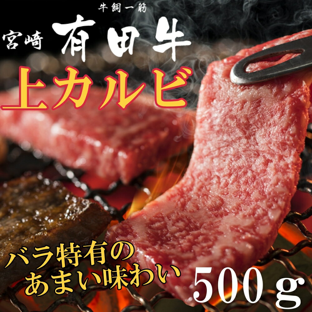 宮崎 有田牛 上カルビ　500g　上カルビ　カルビ　和牛 高級肉 お肉 お取り寄せ 焼肉セット BBQ お取り寄せグルメ 牛肉 美味しいもの ごちそう 誕生日 ギフト お祝い 内祝い お中元 お歳暮