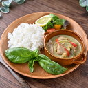 グリーンカレー 計14食(100g×2食×7袋) 冷凍 タイカレー カレー お取り寄せ 惣菜 お惣菜 タイ料理 多国籍料理 冷凍 簡単 時短 簡単調理