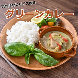 グリーンカレー(100g×2食) 冷凍 タイカレー カレー お取り寄せ 惣菜 お惣菜 タイ料理 多国籍料理 冷凍 簡単 時短 簡単調理