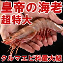 超特大！皇帝の海老 天然シータイガー 約27cm 1尾 エ