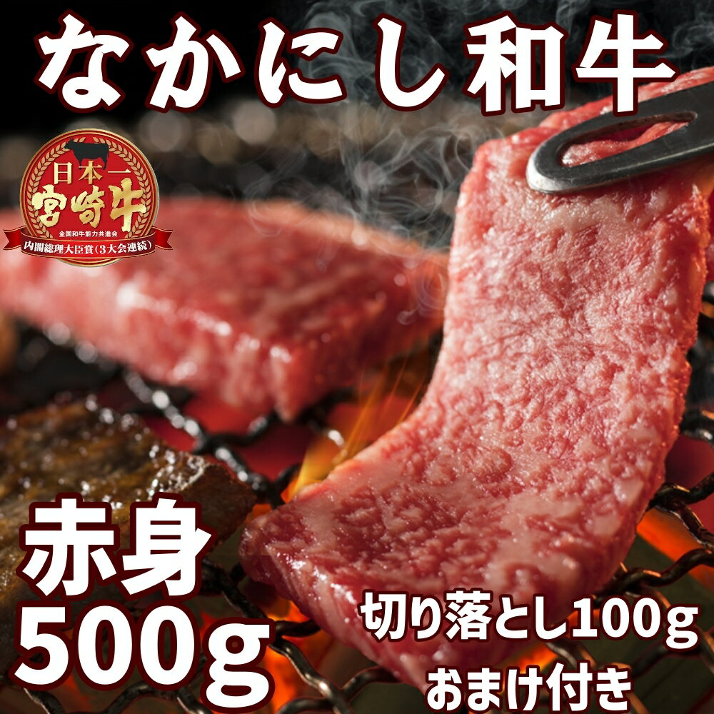 宮崎 なかにし和牛 宮崎牛赤身焼肉用 500g 黒毛和牛 焼肉 バーベキュー 肉 BBQ セット 焼き肉セット 焼き肉 焼肉 希少部位 送料無料 やきにく お花見 キャンプ おためし