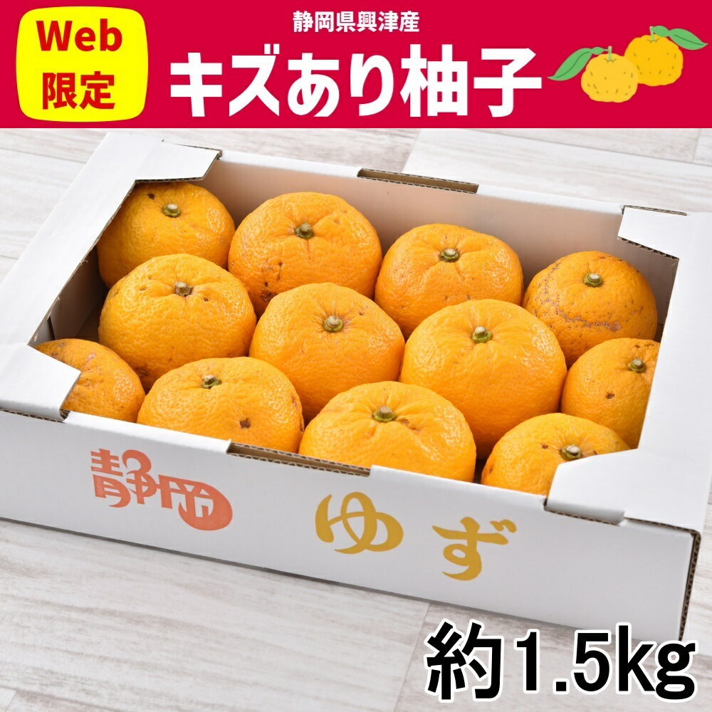 【訳あり】静岡県興津産柚子キズあり　大きさおまかせ　約1.5kg産地直送のサムネイル