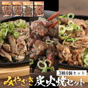 自宅用【化粧箱なし】みやざき鶏炭火焼4パックセット【冷蔵 真空パック 165g 4p 】鶏炭火焼き 宮崎最高峰の味 地鶏炭火焼 炭火 鳥の炭火焼き 地鶏 炭火焼鳥 みやざき地頭指定店 送料無料