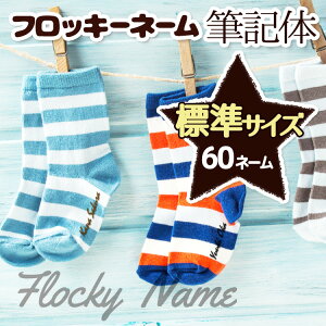 【最短当日発送】お名前 フロッキーネーム 筆記体 おしゃれ シール おなまえ 標準 アイロン 3色 60ネーム 名前シール 送料無料 ハンドメイド アイロンシール フロッキー くつした 入学 入園 保育園 幼稚園 入学準備 シンプル 子供@