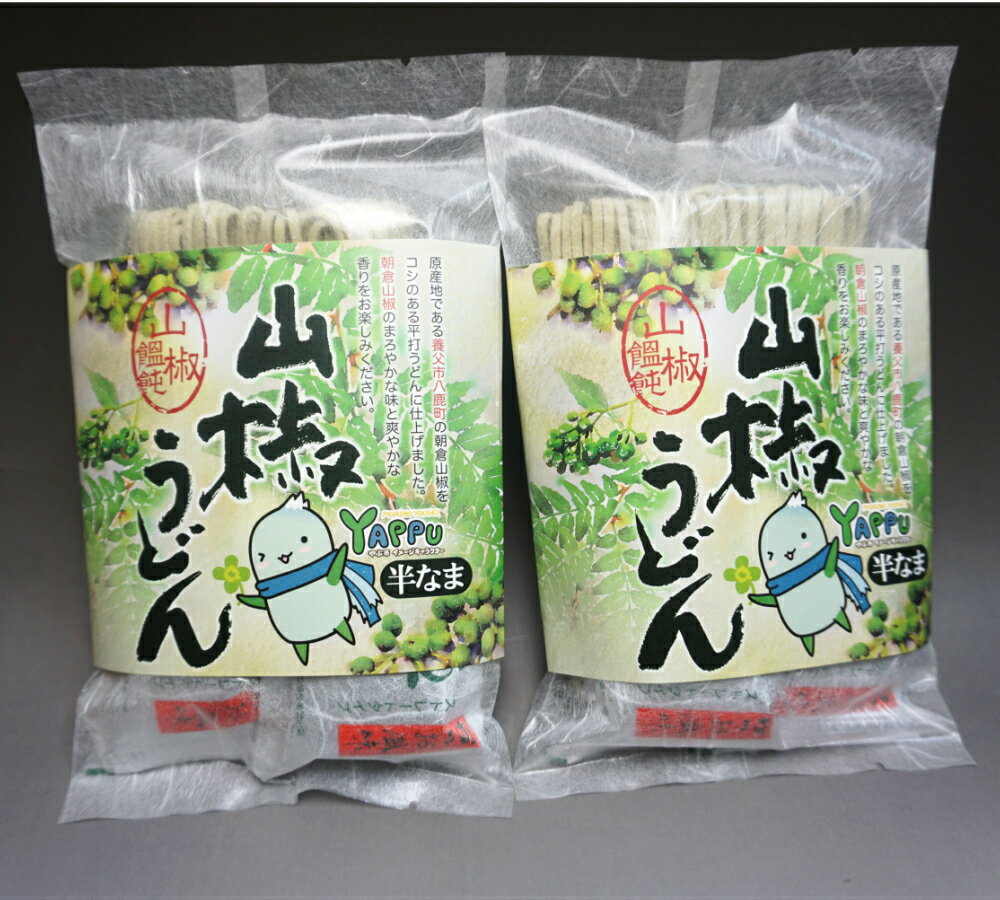 半生山椒うどん4人前★朝倉山椒のまろやかな味と爽やかな香り♪