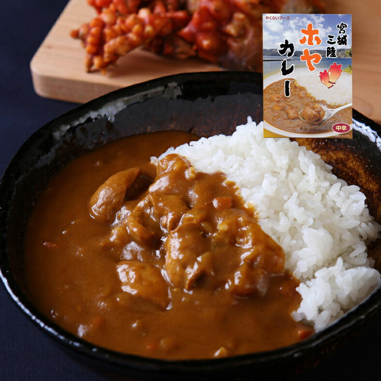 宮城三陸ホヤカレー レトルトカレー 業務用　好評にお答えして超！超！お得な業務用パック 200g×24食入り びっくりする美味さの「ホヤカレーラーメン」レシピお付けします。 1