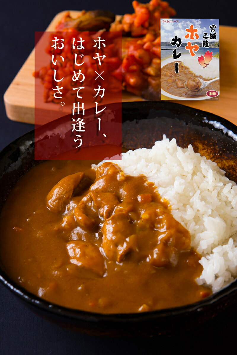 宮城三陸ホヤカレー レトルトカレー 業務用　好評にお答えして超！超！お得な業務用パック 200g×24食入り びっくりする美味さの「ホヤカレーラーメン」レシピお付けします。 2