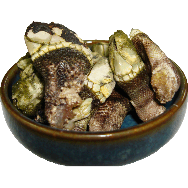 ���������̣ ����Υ� 1kg