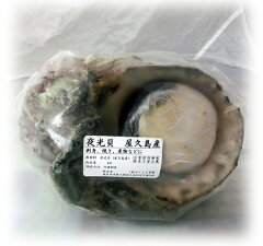 https://thumbnail.image.rakuten.co.jp/@0_mall/yakushima/cabinet/d/d00037c.jpg