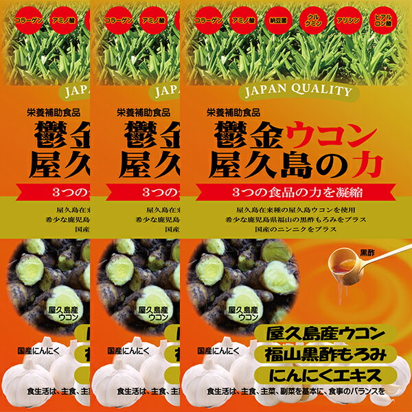 鬱金ウコン屋久島の力×3袋【送料無料 　レターパックライト対応】