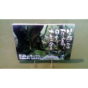 笑顔になる屋久島日めくりカレンダー