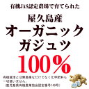 有機 屋久島 紫ウコン ( ガジュツ ) 粉末 100g 2袋 セット 【 屋久島産 有機JAS 送料無料 無農薬 有機栽培 サプリメント スーパーDEAL 】 [M便 1/1] 2