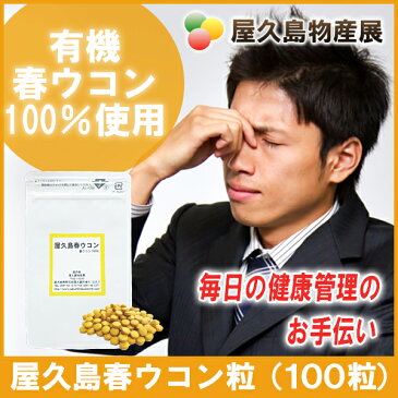 屋久島 春ウコン 粒 100粒 【 屋久島産 送料無料 無農薬 有機栽培 サプリメント 1000円 ポッキリ お試し 】