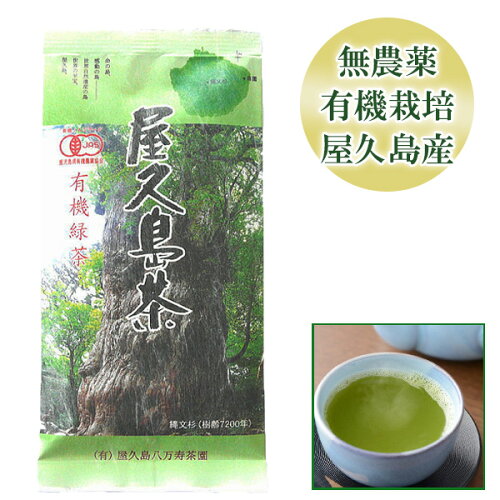 【 鹿児島茶 ランキング 1位 入賞 (2021/02/13) 名産 特産品 お茶 煎...