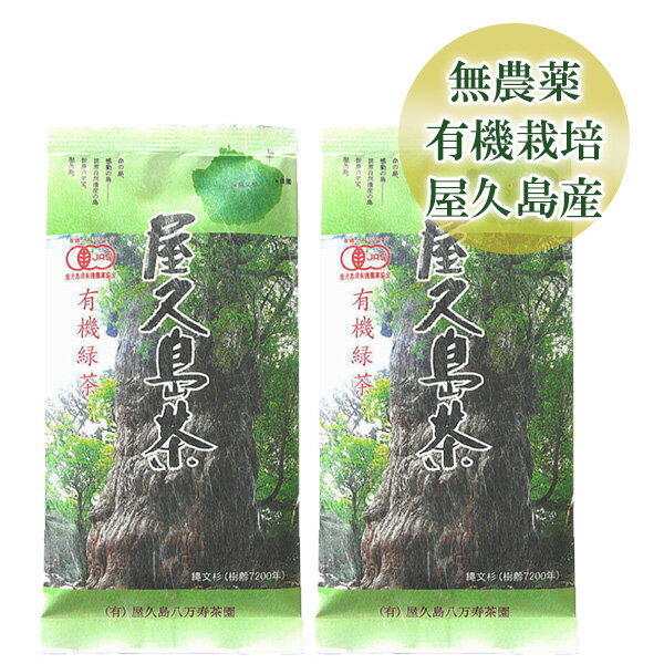 【本日エントリーでポイント最大11倍】【 2袋 セット 】屋久島 茶 80g 【 全国 有機 農業推進委員会会長賞 受賞 無農薬 有機栽培 JAS 認定 日本茶 】 [M便 1/2]のサムネイル