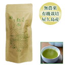 屋久島 有機緑茶 ティーバッグ 40g(2g 20袋)【 全国 有機 農業推進委員会会長賞 受賞 無農薬 有機栽培 JAS 認定 】 M便 1/1