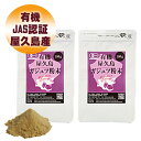 屋久島 紫ウコン ( ガジュツ ) 粉末 100g 2袋 セット 【 屋久島産 無農薬 無添加 ダイエット サポート 】 [M便 1/1]