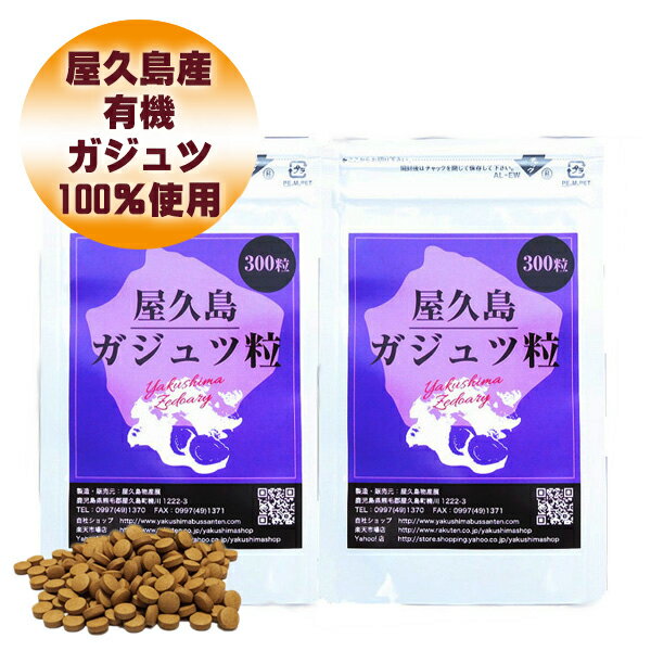 屋久島 紫ウコン ( ガジュツ ) 粒 300粒 2袋 セット 【 屋久島産 送料無料 無農薬 有機栽培 サプリメント スーパーDEAL 】 [M便 1/1]のサムネイル