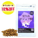 本日エントリーでポイント10倍以上 お買い物マラソン セール商品 屋久島 紫ウコン ( ガジュツ ) 粒 300粒 屋久島産 無農薬 有機栽培 ダイエット サポ...