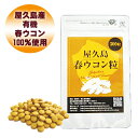 【本日エントリーでポイント最大12倍】屋久島 春ウコン 粒 300粒 【 屋久島産 送料無料 無農薬 有機栽培 サプリメント 】 M便 1/1