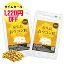 【本日エントリーでポイント9倍】【 お買い物マラソン 目玉商品 】 屋久島 春ウコン 粒 300粒 2袋 セット 【 屋久島産 送料無料 無農薬 有機栽培 サプリメント 】 M便 1/1