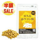 【本日エントリーでポイント9倍】【 楽天スーパーSALE 半額 】 屋久島 春ウコン 粒 300粒 【 屋久島産 送料無料 無農薬 有機栽培 サプリメント 】 M便 1/3