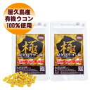 ただいまポイント10倍 屋久島 ウコン 極 300 粒 2袋 セット 屋久島産 送料無料 無農薬 有機栽培 サプリメント クルクミン 3種混合 スーパーDEAL...