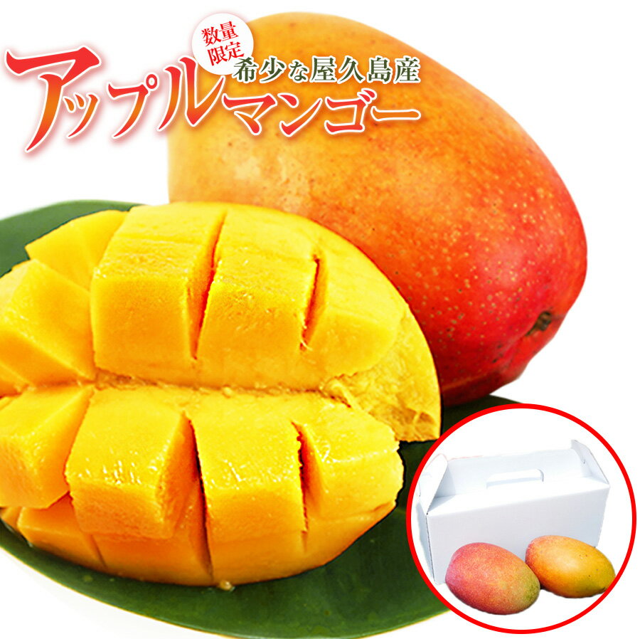 【 希少 屋久島産 】アップル マンゴー 約1.2Kg 世界自然遺産の太陽をたっぷり浴びて美味しいマンゴー出来ましたのサムネイル