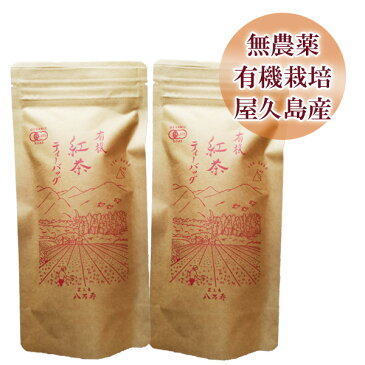 屋久島 紅茶 ティーバッグ 36g(3g 12袋) 2袋 セット【 全国 有機 農業推進委員会会長賞 受賞 無農薬 有機栽培 国産 JAS 認定 】 [M便 1/1]