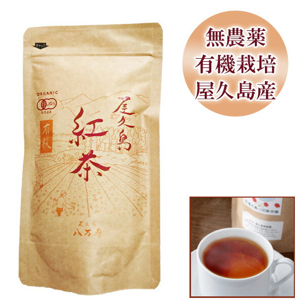 屋久島 有機紅茶 リーフ ティー 60g