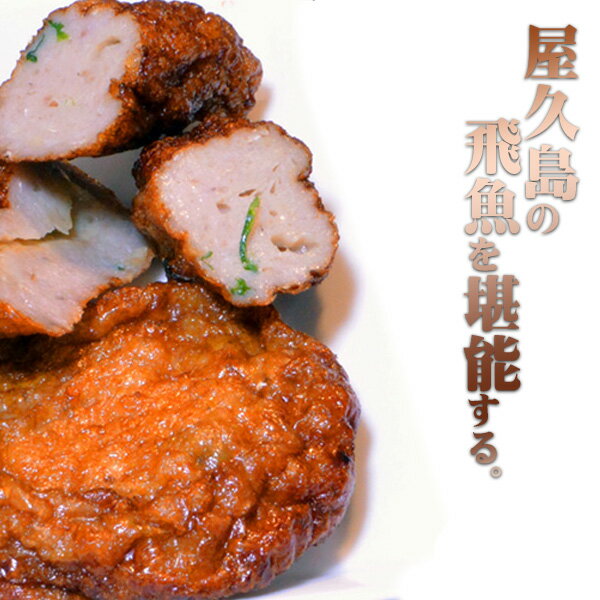 本日エントリーでポイント最大10倍 屋久島 トビウオ すり身 3パック セット つけ揚げ さつま揚げ ...