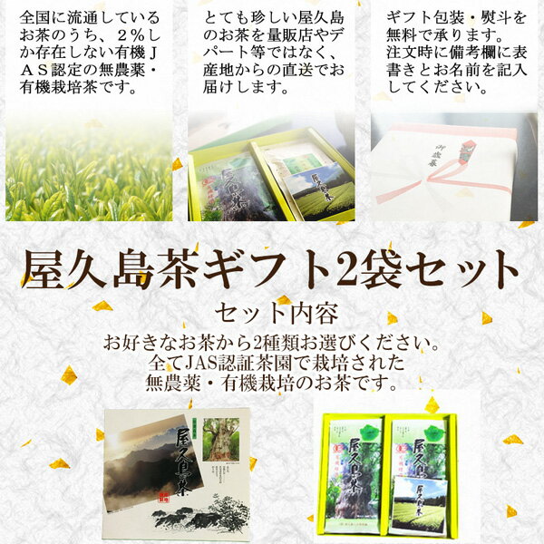 ��3�������ǥݥ����10�ܡ� ������ �� ���ե� 2�ޥ��å� ���� ͭ�� ���ȿ�ʰѰ����Ĺ�� ���� ̵���� ͭ������ JAS ǧ��