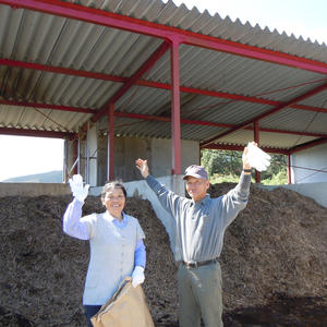 《私たちが作った屋久島自然栽培茶です》無農薬茶「深山の露」（茶葉100g×2袋）