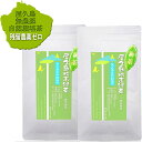 一番茶 粉末緑茶 100g×2 パウダー ティー 無農薬 無化学肥料 残留農薬 飛散農薬 ゼロ 屋久島 自然栽培