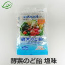 大高酵素　酵素のど飴　塩味　80g　のどあめ