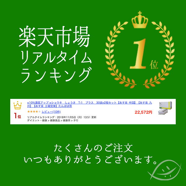 ショウキT-1プラス 30袋x2箱セット たんぽぽ茶 しょうき 徳潤