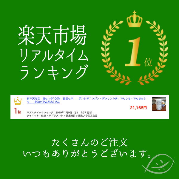 【6/4〜6/11 クーポン有】栃本天海堂　田七人参100%　田三七末(粗粉末) [ でんしち...