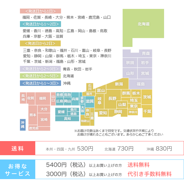 【マラソン限定クーポン配布】【第2類医薬品】ホノミ漢方　気上錠 75錠[ きじょうじょう/キジョウジョウ ]