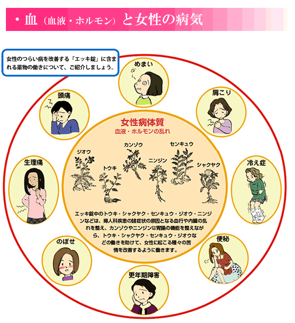 【第3類医薬品】あす楽ホノミ漢方エッキ錠360錠剤盛堂【あす楽_中国あす楽_九州あす楽_土曜営業】