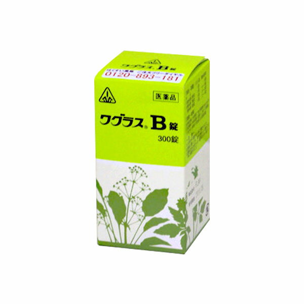 【第2類医薬品】ホノミ漢方　皮膚病のお薬　ワグラスB錠　300錠　わぐらすB錠　剤盛堂薬品　ほのみ漢方