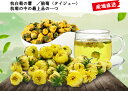 メール便送料無料　菊花蕾/胎菊（タイジュー）50g袋入り　花茶　健康茶　中国茶